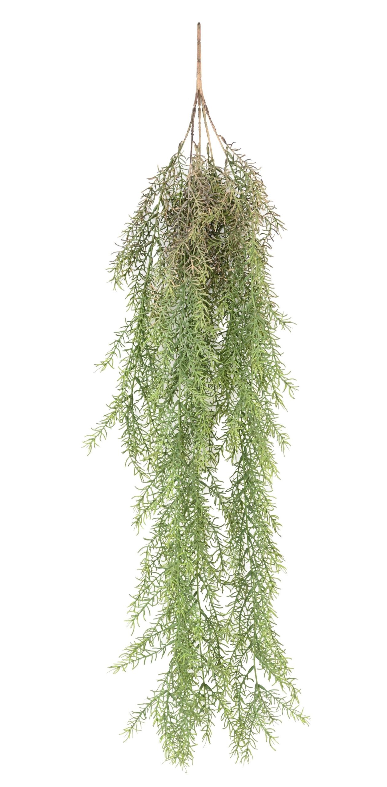 Künstliche Rhipsalis Hängepflanze, ca. 101cm 1 Künstliche Rhipsalis Hängepflanze, ca. 101cm