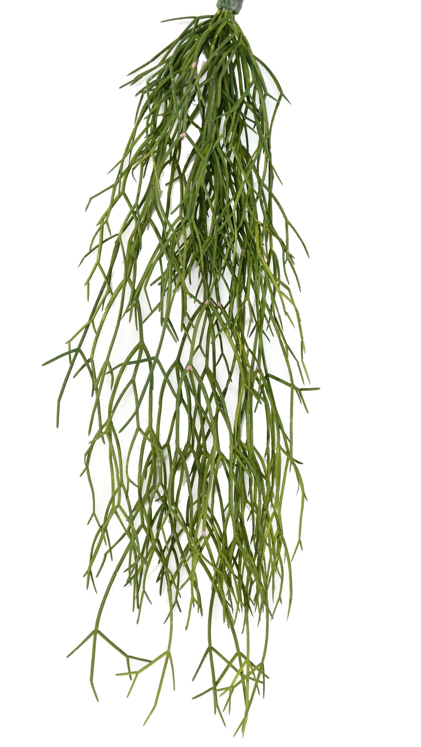 Künstliche Rhipsalis Hängepflanze, ca. 50cm 1 Künstliche Rhipsalis Hängepflanze, ca. 50cm