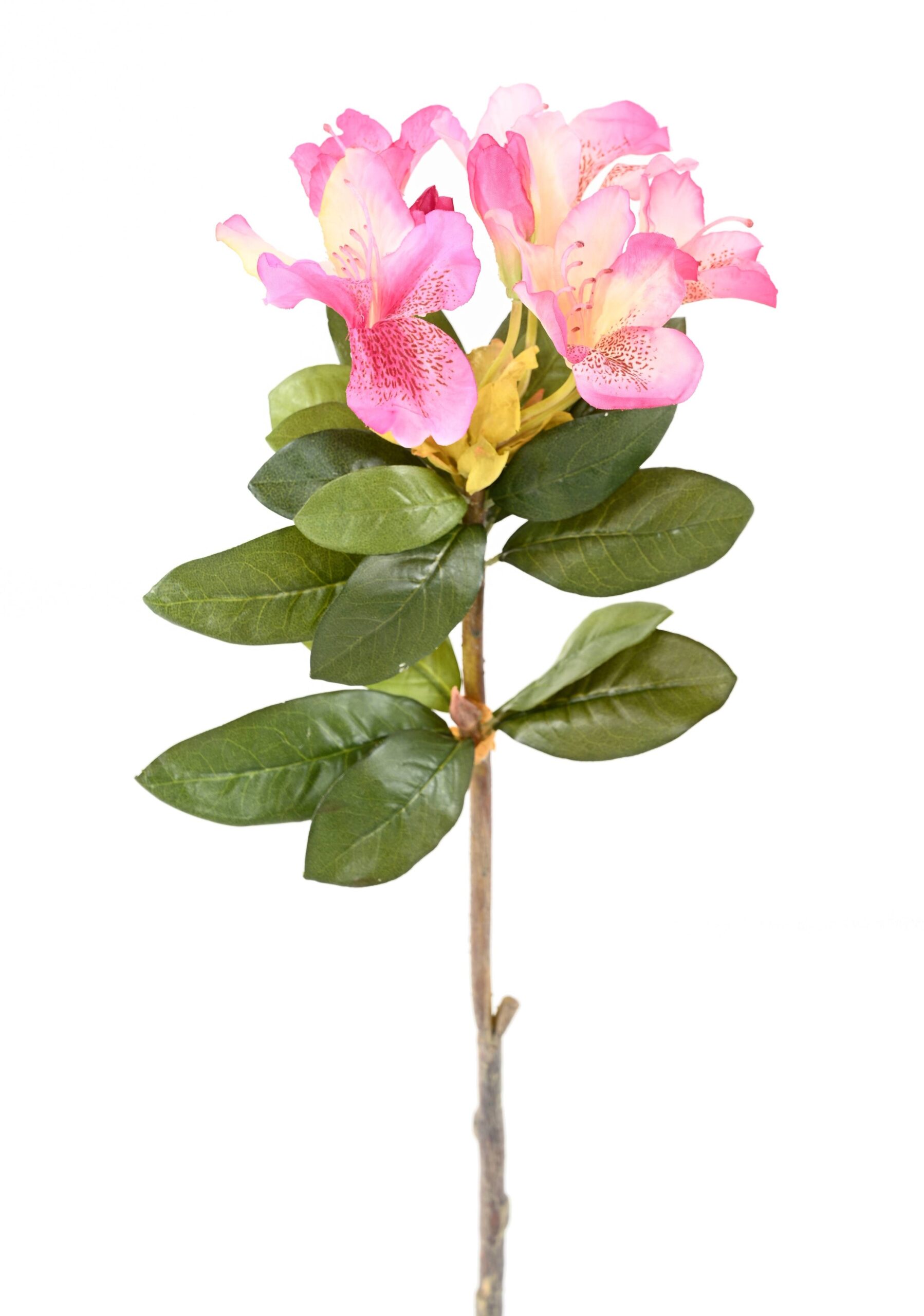 Künstlicher Rhododendron, rosa-gelb, ca. 85cm hoch 1 Künstlicher Rhododendron, rosa-gelb, ca. 85cm hoch