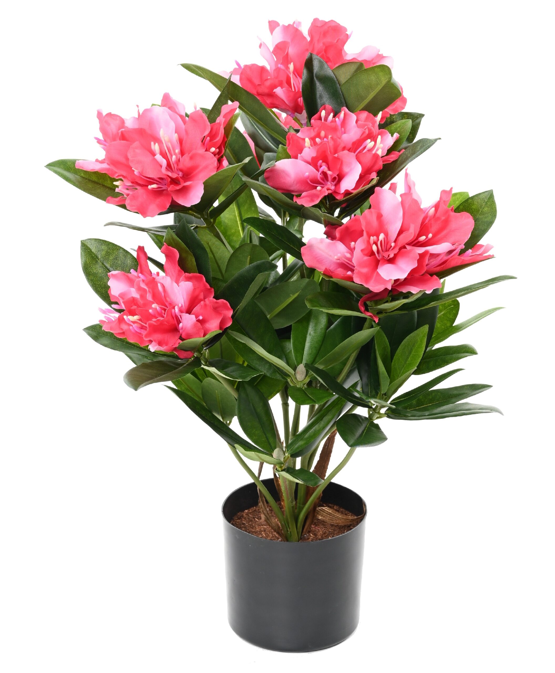 Künstlicher Rhododendron im Topf, 45cm, fuchsia 1 Künstlicher Rhododendron im Topf, 45cm, fuchsia