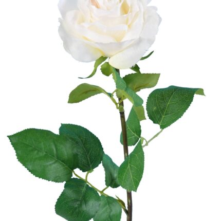 Künstliche Rose, weiß, ca. 66cm hoch - Pflegeleicht!