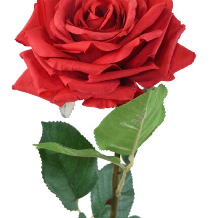 Künstliche Rose, rot, ca. 74cm hoch - Pflegeleicht & Elegant