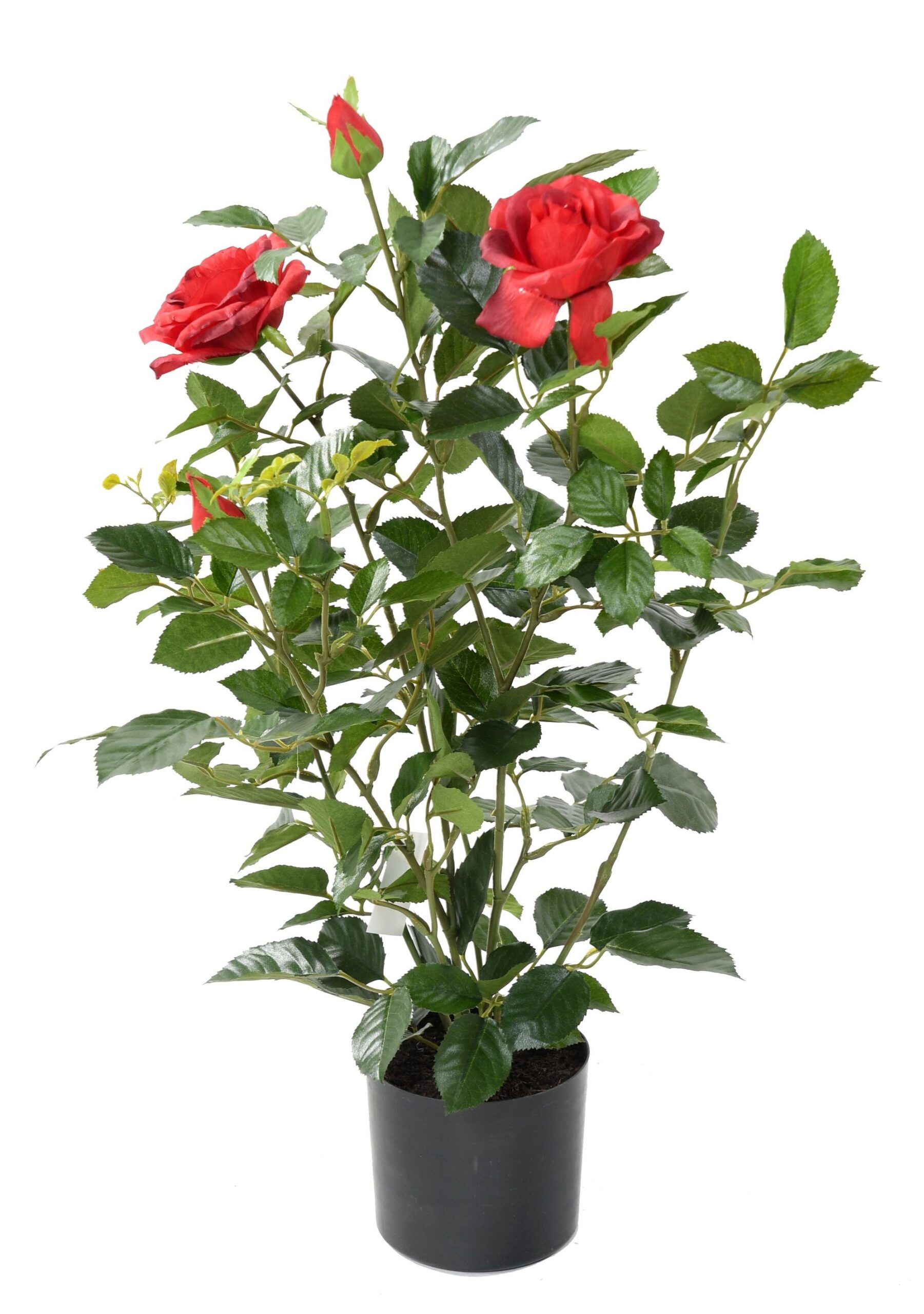 Künstliche Rote Königrose, ca 60cm, rot 1 Künstliche Rote Königrose, ca 60cm, rot