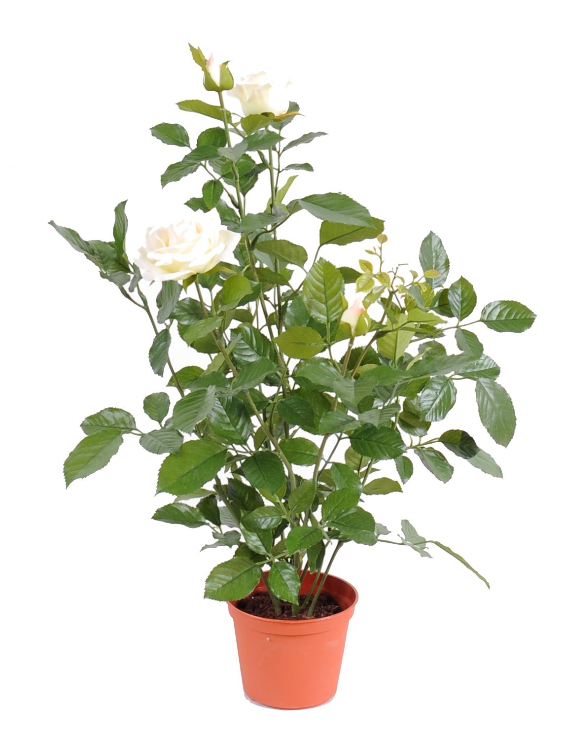 Künstliche weisse Königrose, ca 60cm, grün 1 Künstliche weisse Königrose, ca 60cm, grün