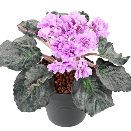 Künstliches Usambaraveilchen, ca 30cm, violett