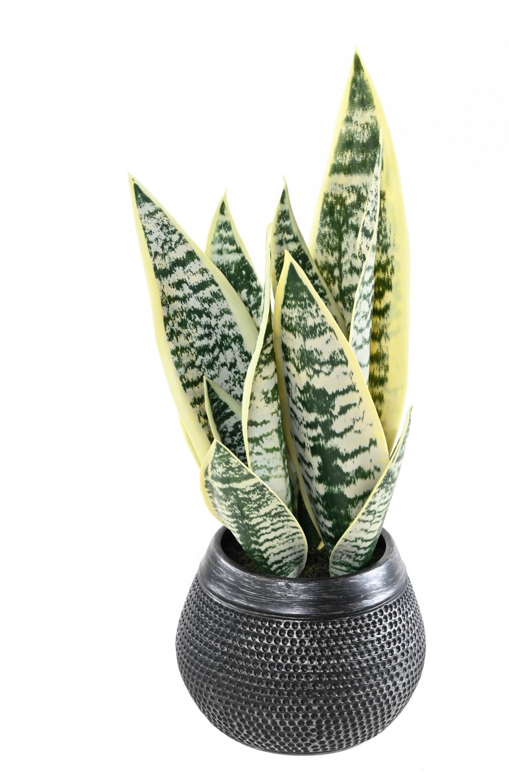 Künstliche Sansevieria, 49cm hoch, pflegeleicht & grün 1 Künstliche Sansevieria, 49cm hoch, pflegeleicht & grün