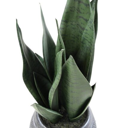 Künstliche Sansevieria, 49cm hoch, pflegeleicht, grün