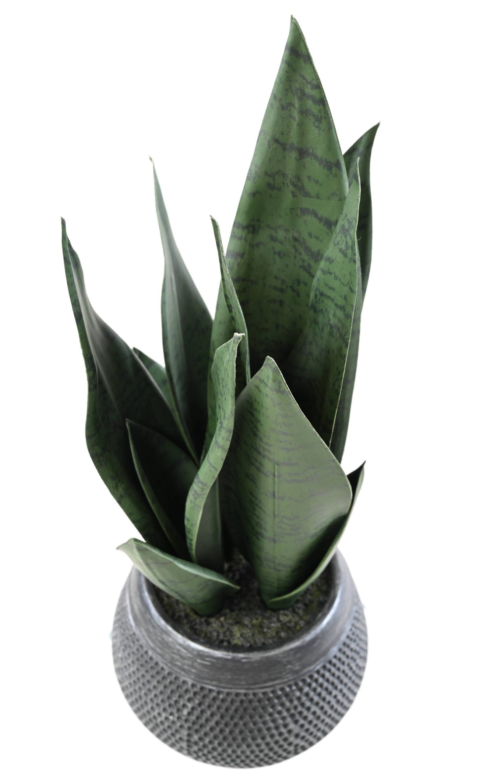 Künstliche Sansevieria, 49cm hoch, pflegeleicht, grün 1 Künstliche Sansevieria, 49cm hoch, pflegeleicht, grün