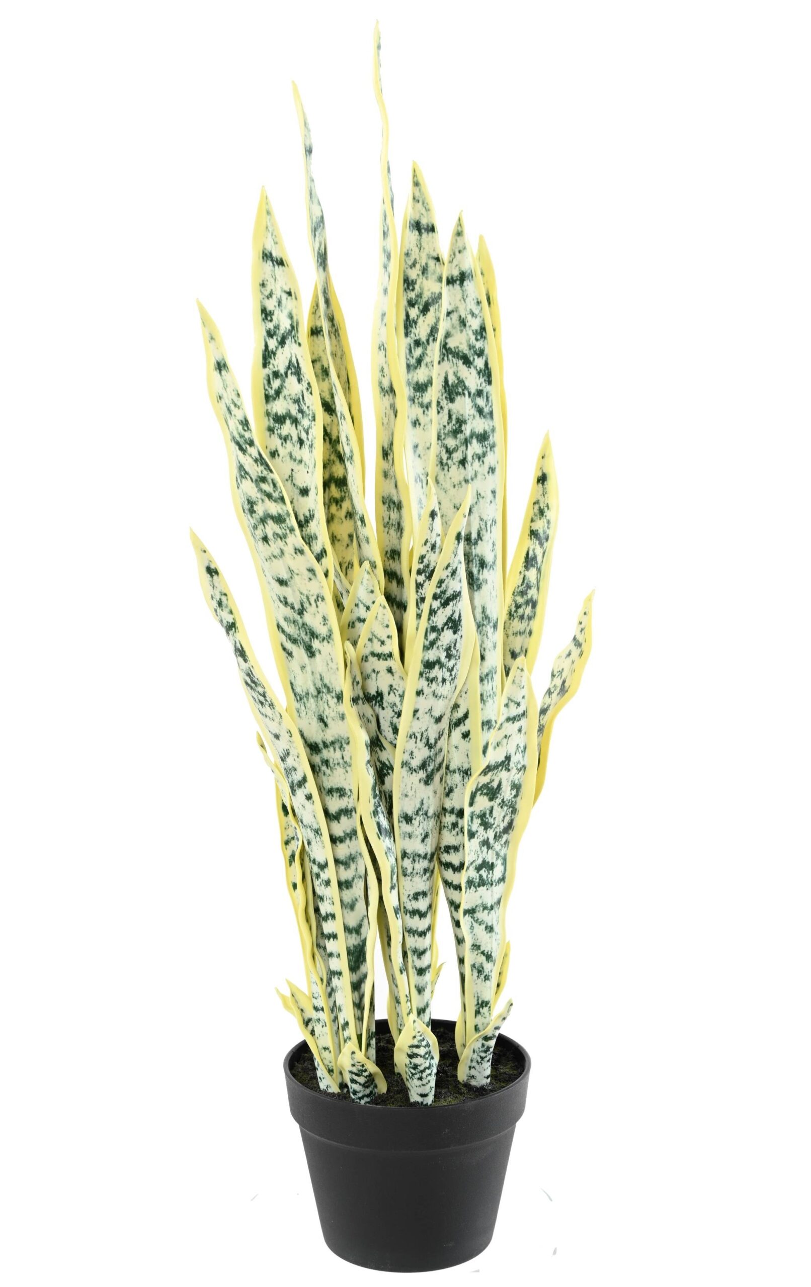 Künstliche Sansevieria, 85cm hoch, pflegeleicht & grün 1 Künstliche Sansevieria, 85cm hoch, pflegeleicht & grün