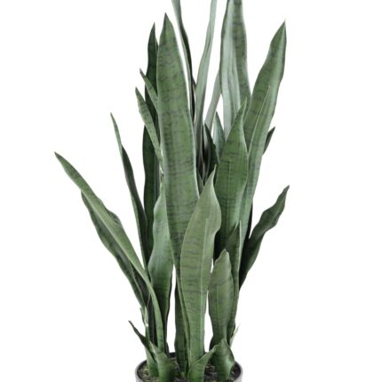 Künstliche Sansevieria, 85cm hoch, pflegeleicht & grün