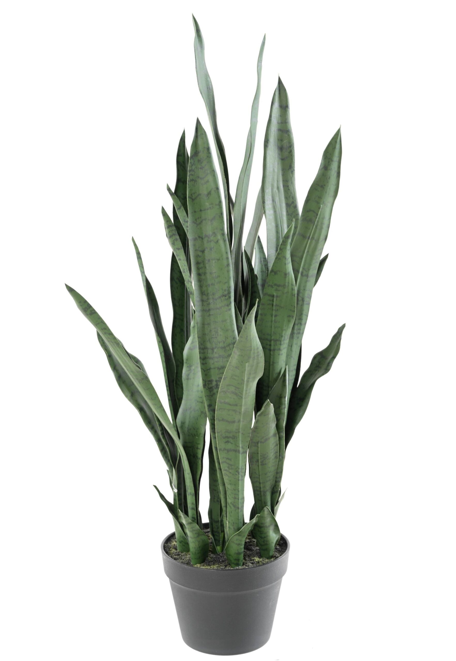 Künstliche Sansevieria, 85cm hoch, pflegeleicht & grün 1 Künstliche Sansevieria, 85cm hoch, pflegeleicht & grün
