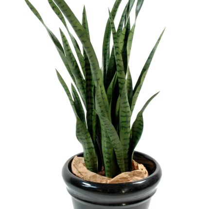 Künstliche Sansevieria, 110cm hoch, pflegeleicht und grün