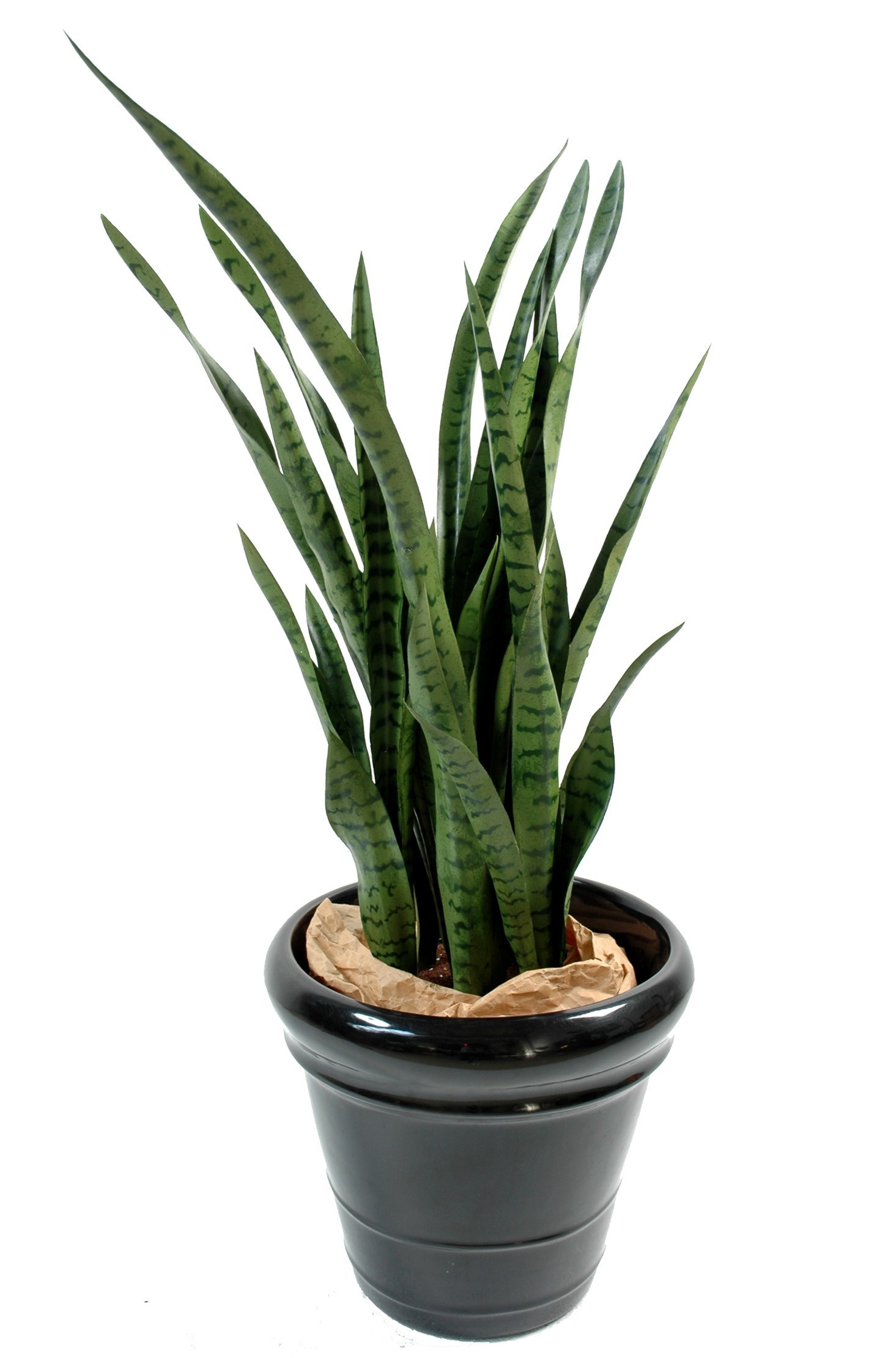 Künstliche Sansevieria, 110cm hoch, pflegeleicht und grün 1 Künstliche Sansevieria, 110cm hoch, pflegeleicht und grün