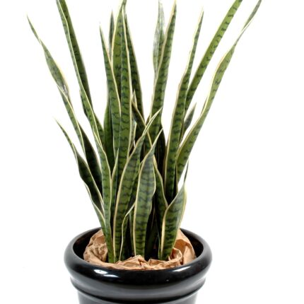 Künstliche Sansevieria, 110cm hoch, pflegeleicht und grün