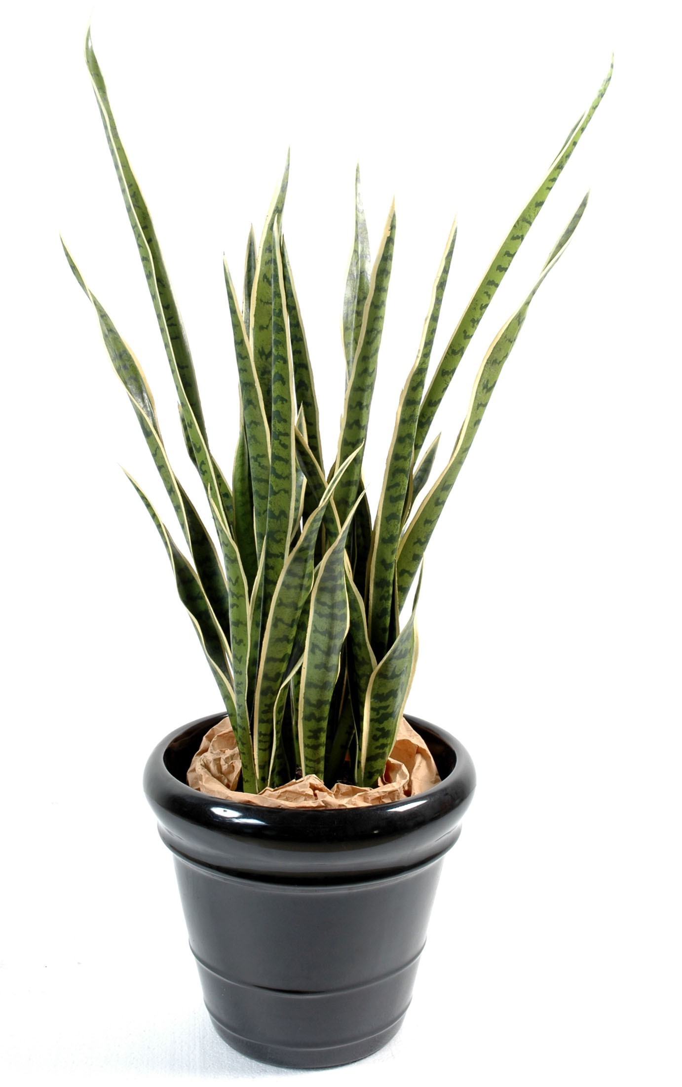 Künstliche Sansevieria, 110cm hoch, pflegeleicht und grün 1 Künstliche Sansevieria, 110cm hoch, pflegeleicht und grün