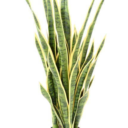 Künstliche Sansevieria, 85cm hoch, pflegeleicht & grün