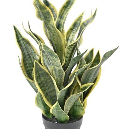 Künstliche Sansevieria Masoniana, 66cm hoch, grün