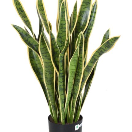 Künstliche Sansevieria, 93cm hoch, pflegeleicht und grün
