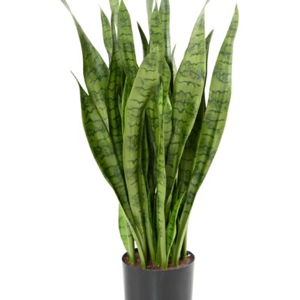 Künstliche Sansevieria, 93cm hoch, pflegeleicht und grün