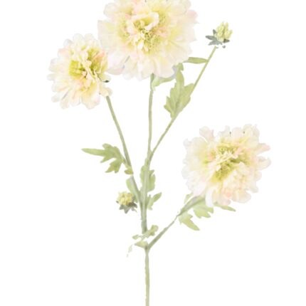 Künstliche Scabiosa, 75cm hoch, pflegeleicht und elegant