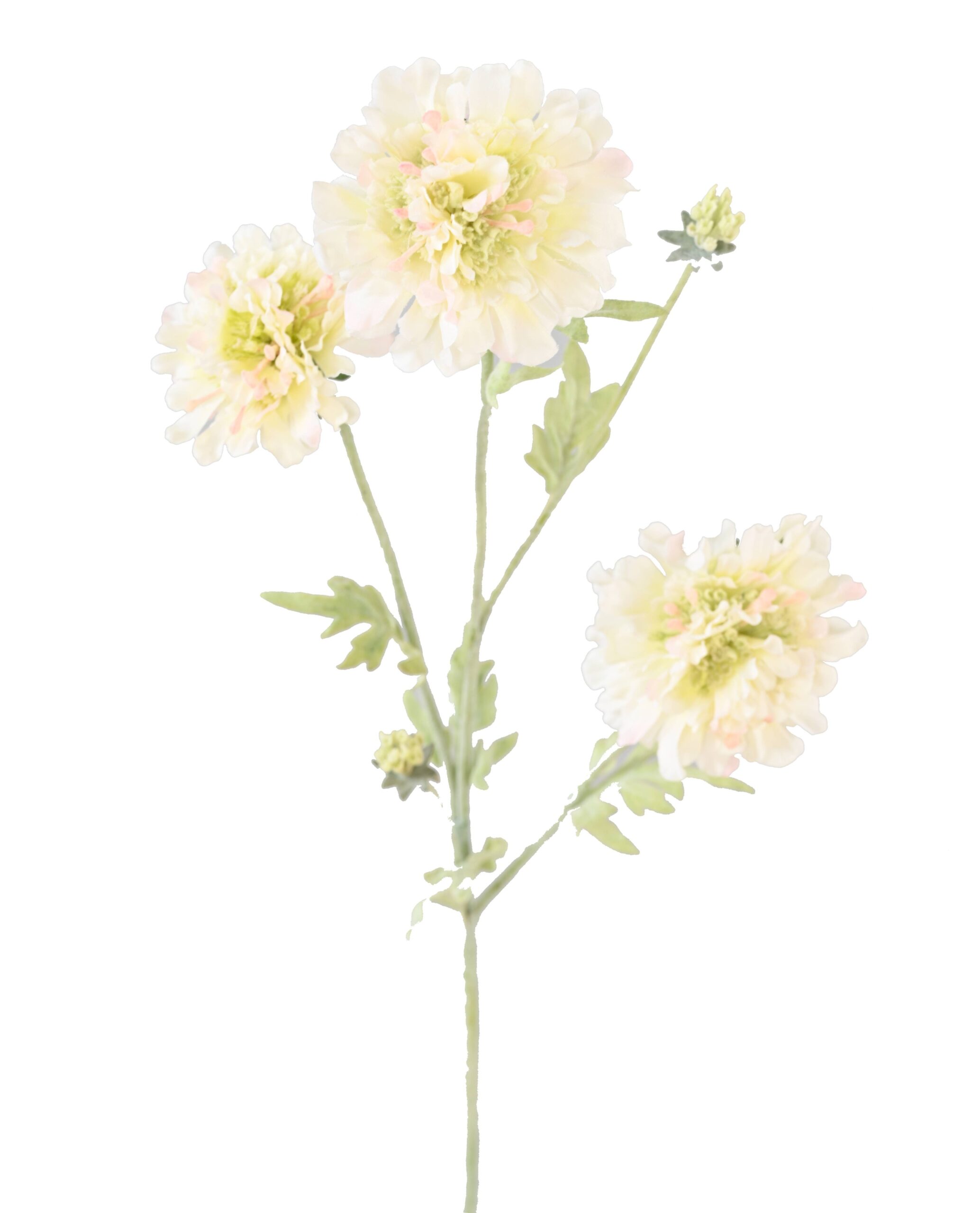 Künstliche Scabiosa, 75cm hoch, pflegeleicht und elegant 1 Künstliche Scabiosa, 75cm hoch, pflegeleicht und elegant