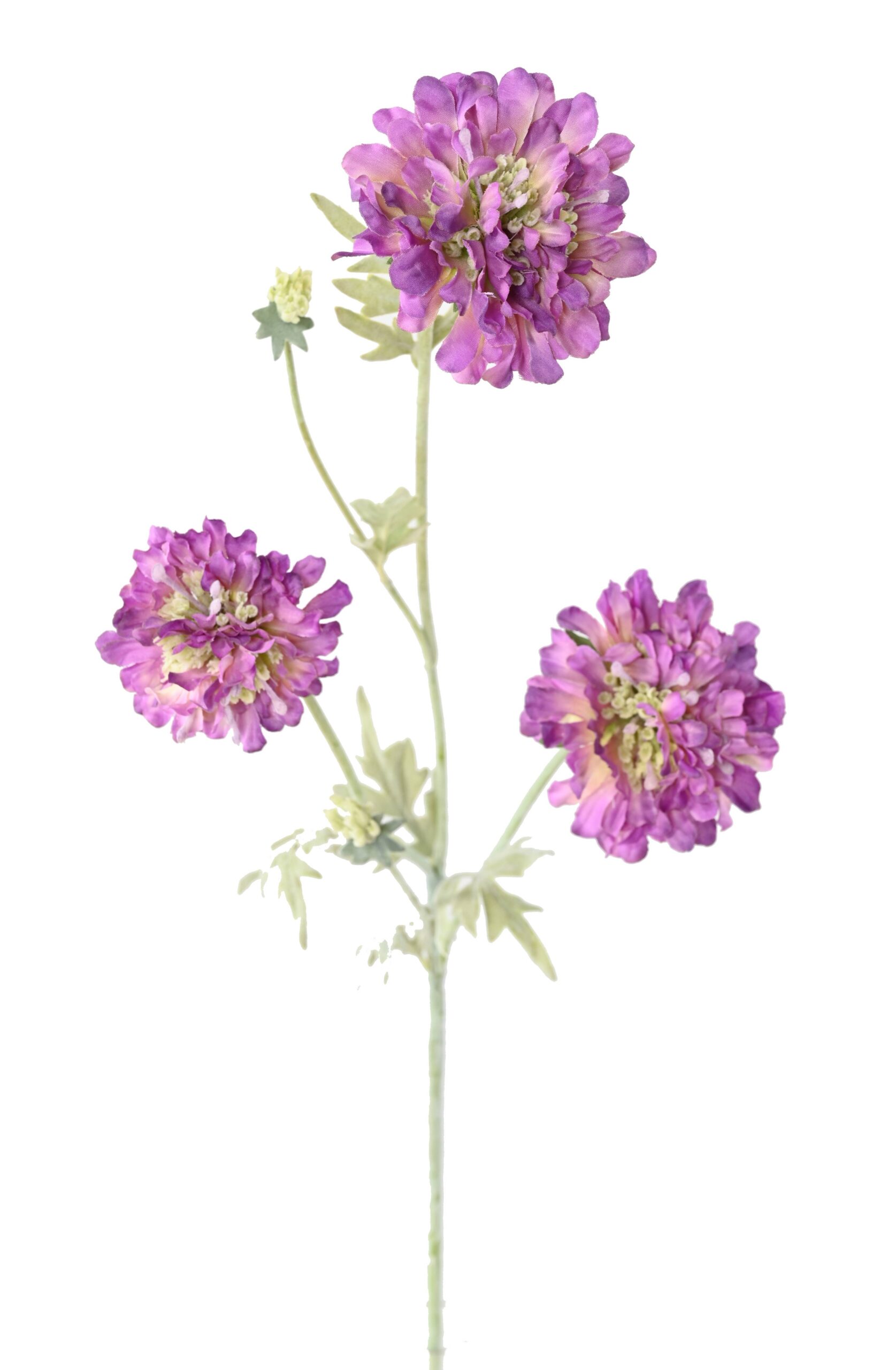 Künstliche Scabiosenblume, lila, ca. 75cm hoch 1 Künstliche Scabiosenblume, lila, ca. 75cm hoch
