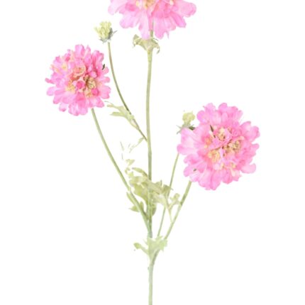 Künstliche Scabiosenblume, pink, ca. 75cm hoch