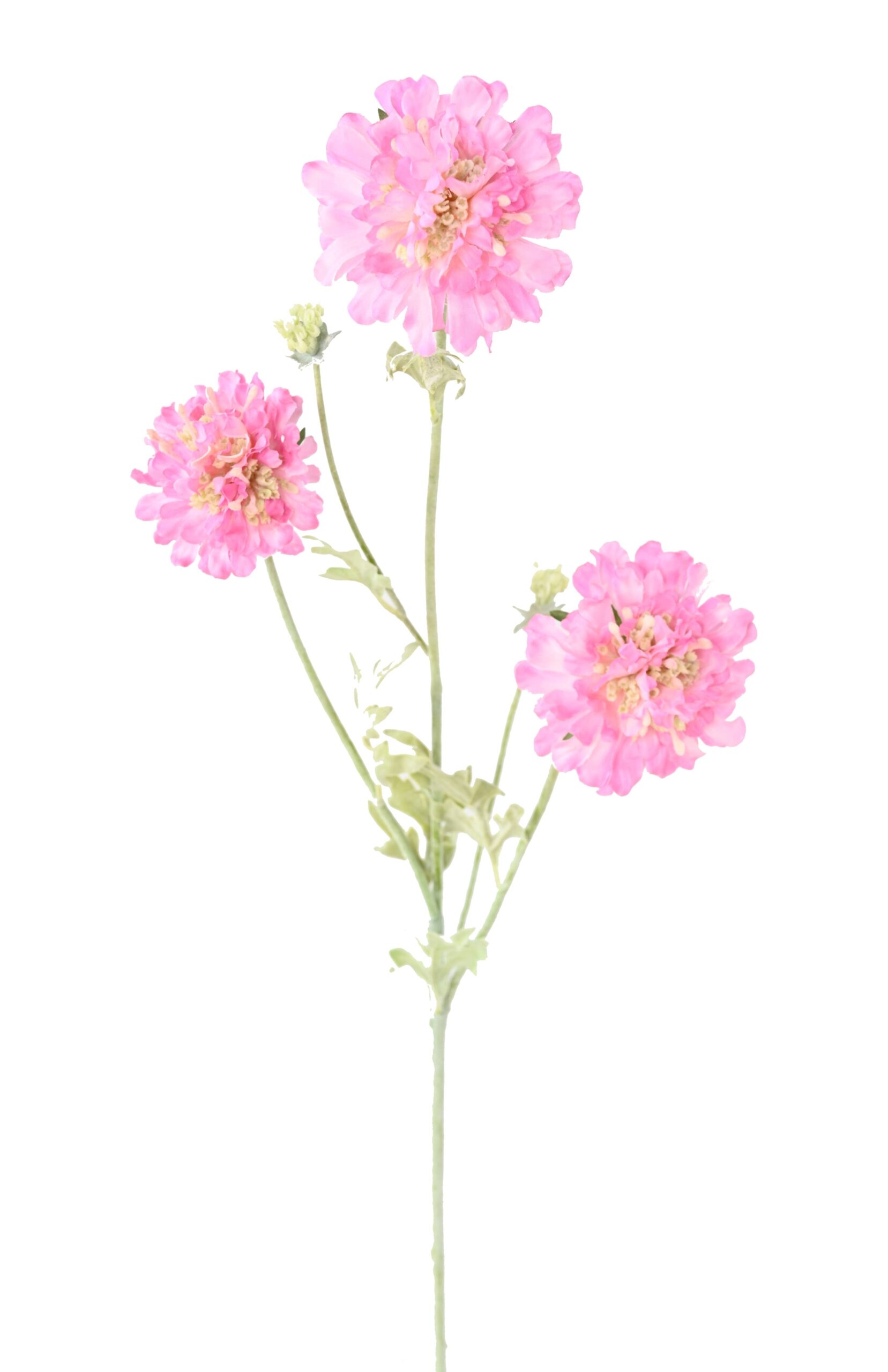Künstliche Scabiosenblume, pink, ca. 75cm hoch 1 Künstliche Scabiosenblume, pink, ca. 75cm hoch