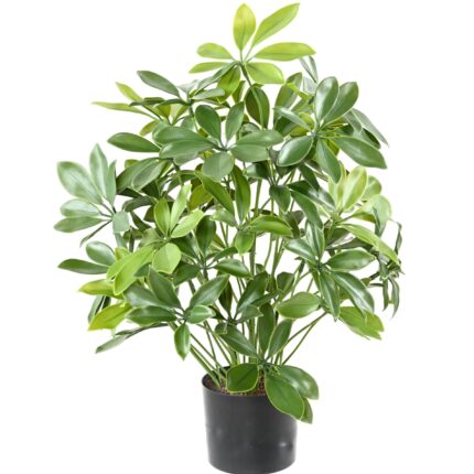 Künstliche Schefflera, 50cm hoch, UV-beständig, grün