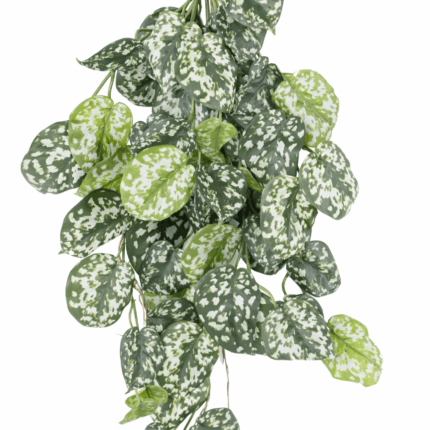 Künstliche Scindapsus, ca. 75cm – Feuerbeständig und Pflegeleicht