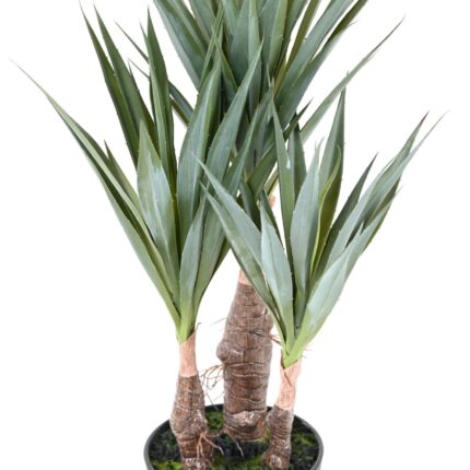 Künstliche Agave: Pflegeleichte Deko für Ihr Zuhause