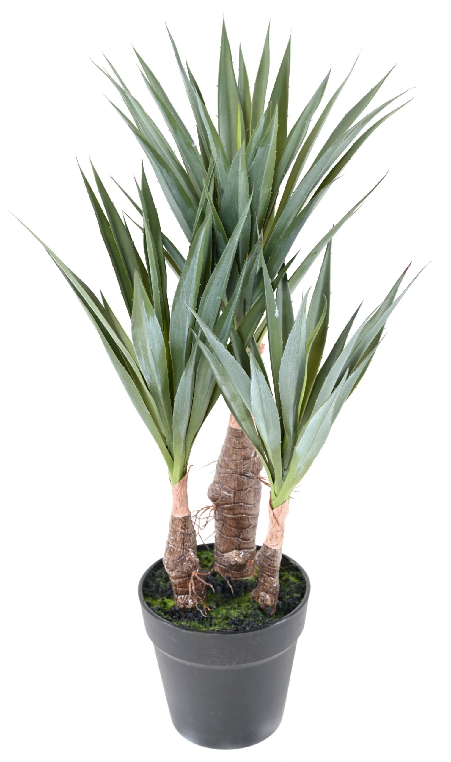 Künstliche Agave: Pflegeleichte Deko für Ihr Zuhause 1 Künstliche Agave: Pflegeleichte Deko für Ihr Zuhause