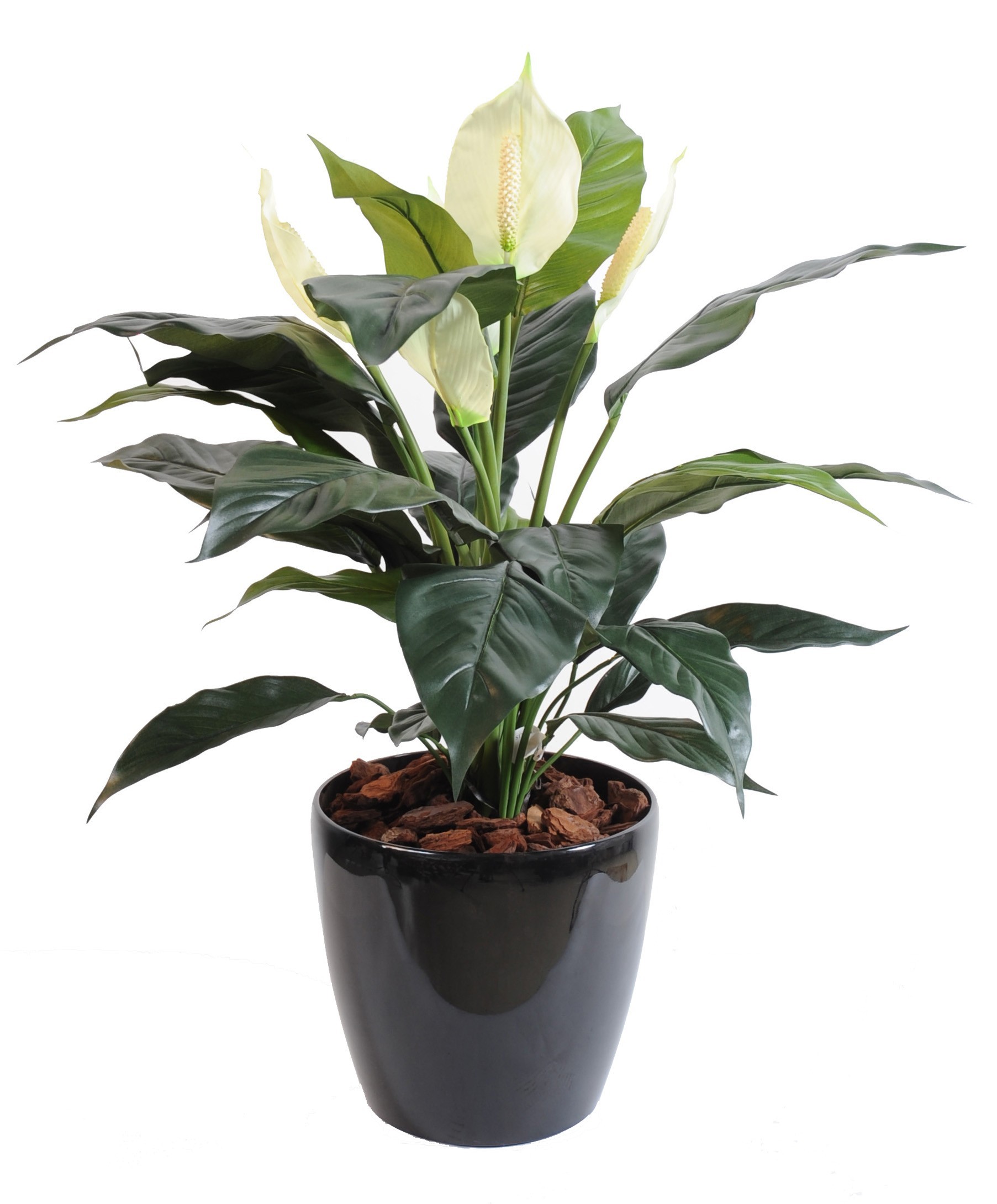 Künstlicher Spathiphyllum: Pflegeleichte Blütenpracht 1 Künstlicher Spathiphyllum: Pflegeleichte Blütenpracht