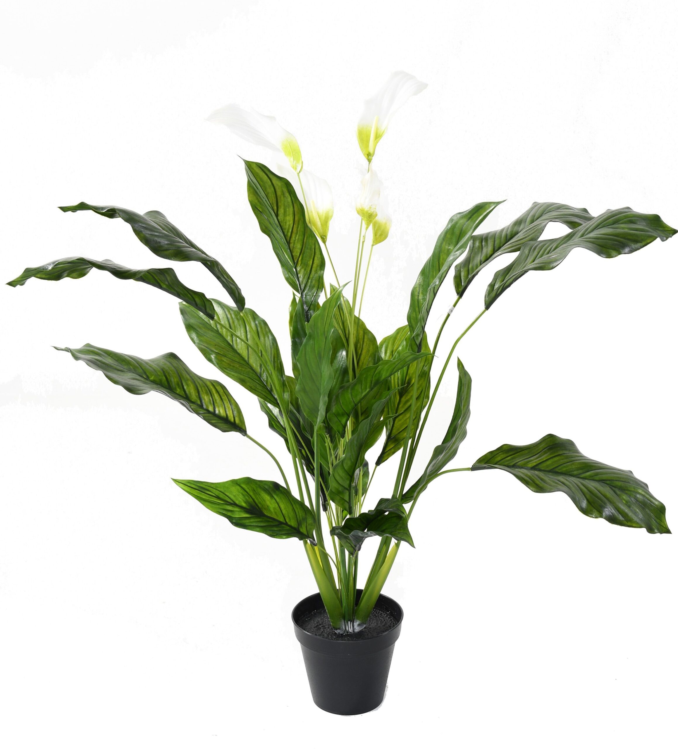 Künstlicher Spathiphyllum, ca 90cm, UV-Beständig, grün 1 Künstlicher Spathiphyllum, ca 90cm, UV-Beständig, grün
