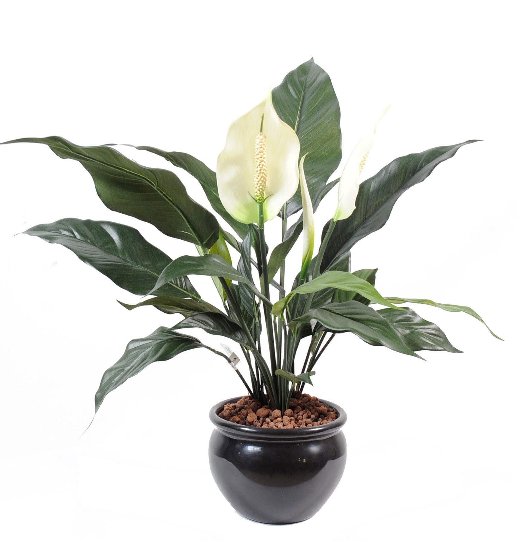 Künstlicher Spathiphyllum: Pflegeleichte Blütenpracht 1 Künstlicher Spathiphyllum: Pflegeleichte Blütenpracht