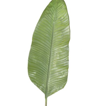 Künstlicher Strelitzia Blattzweig, ca 165cm, grün