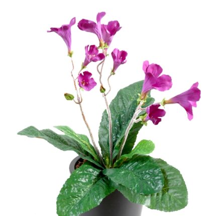 Künstlicher Streptocarpus, ca 38cm, fuchsia