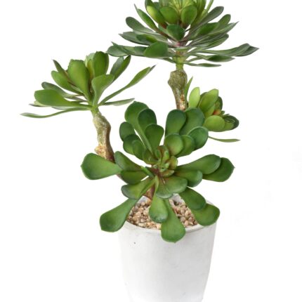 Künstliche Sukkulente, 30cm hoch, pflegeleicht & grün