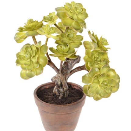 Künstlicher Sukkulent, 35cm hoch, pflegeleicht, grün