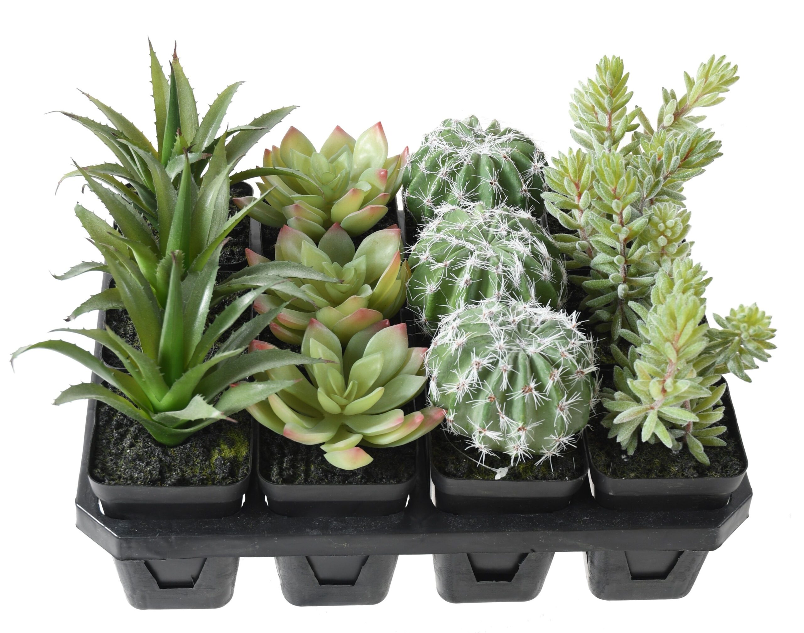 Künstliche Sukkulenten: Pflegeleichte Deko für Ihr Zuhause 1 Künstliche Sukkulenten: Pflegeleichte Deko für Ihr Zuhause