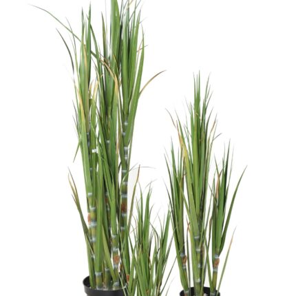 Künstlicher Zuckerstangenbaum, 75cm hoch, grün