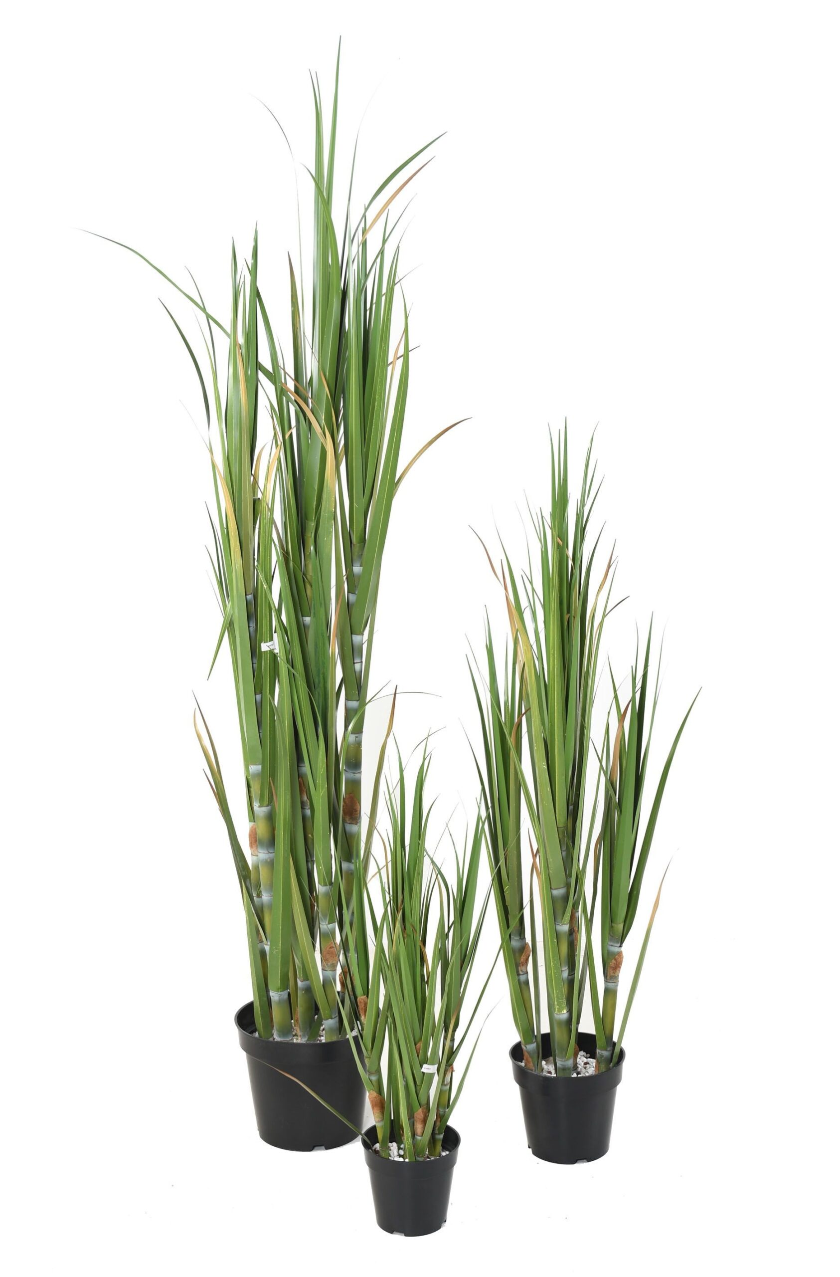 Künstlicher Zuckerstangenbaum, 75cm hoch, grün 1 Künstlicher Zuckerstangenbaum, 75cm hoch, grün