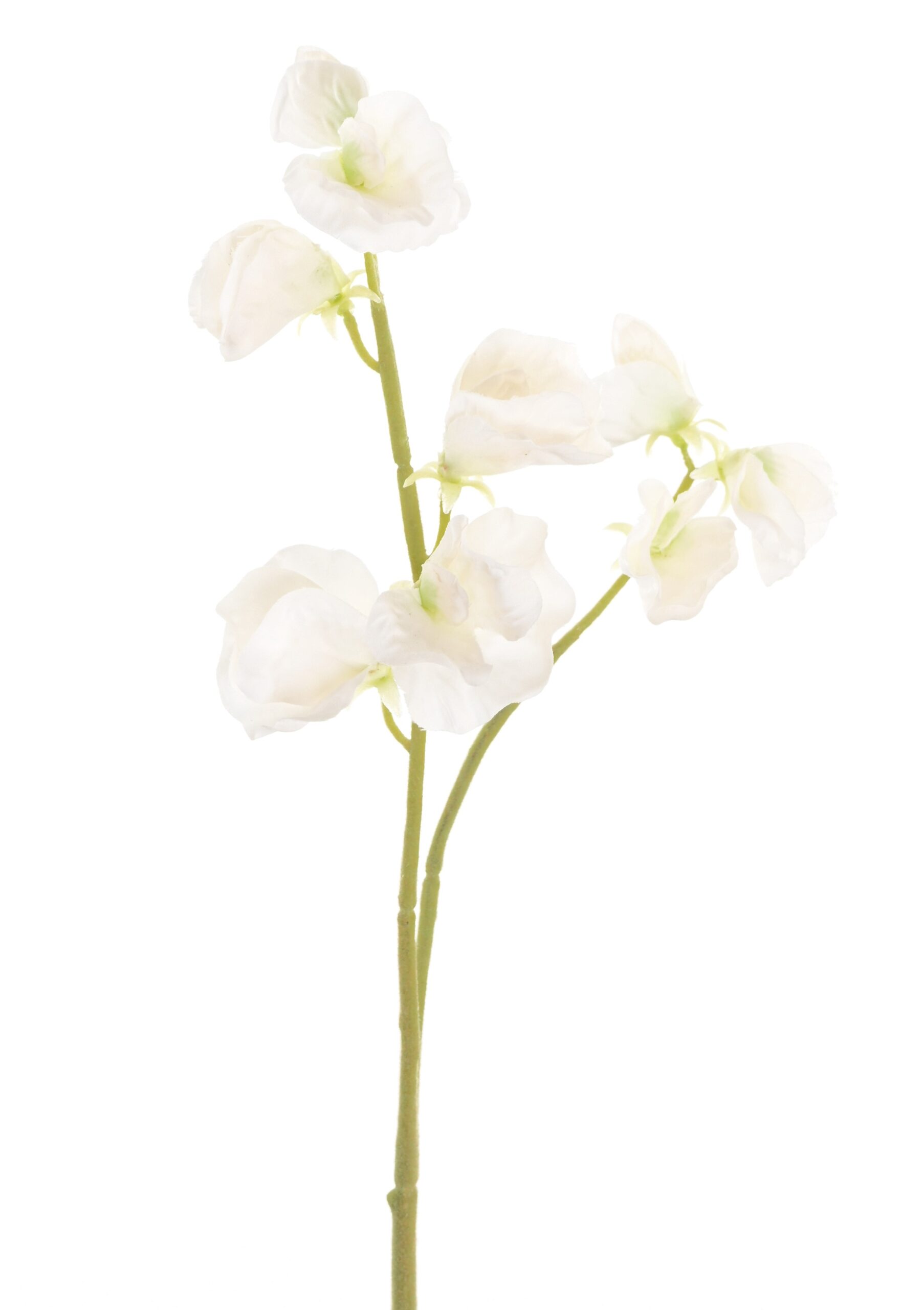 Künstliche Sweet Pea, weiß, ca. 41cm hoch 1 Künstliche Sweet Pea, weiß, ca. 41cm hoch