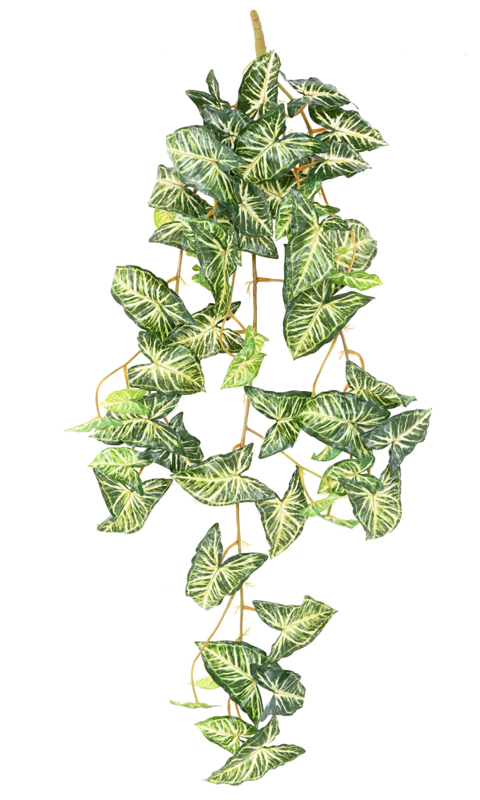 Künstlicher Syngonium Hängender Busch, ca. 110cm 1 Künstlicher Syngonium Hängender Busch, ca. 110cm