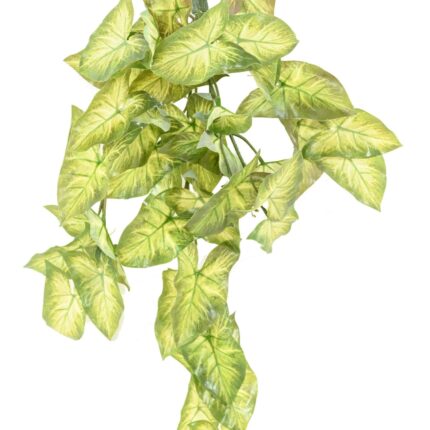 Künstliche Hängepflanze Syngonium, ca. 60cm