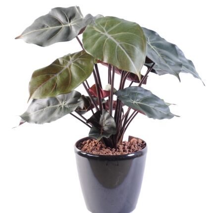 Künstliches Syngonium: Pflegeleichte Raumdeko 55cm
