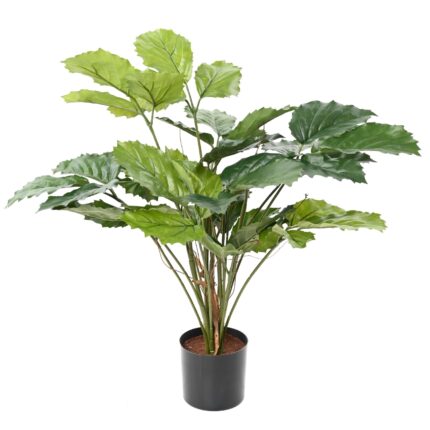 Künstlicher Tetrastigma: Pflegeleichte Deko-Pflanze