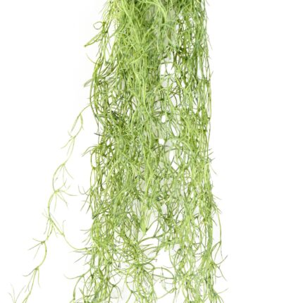 Künstliche Tillandsia, ca. 80cm