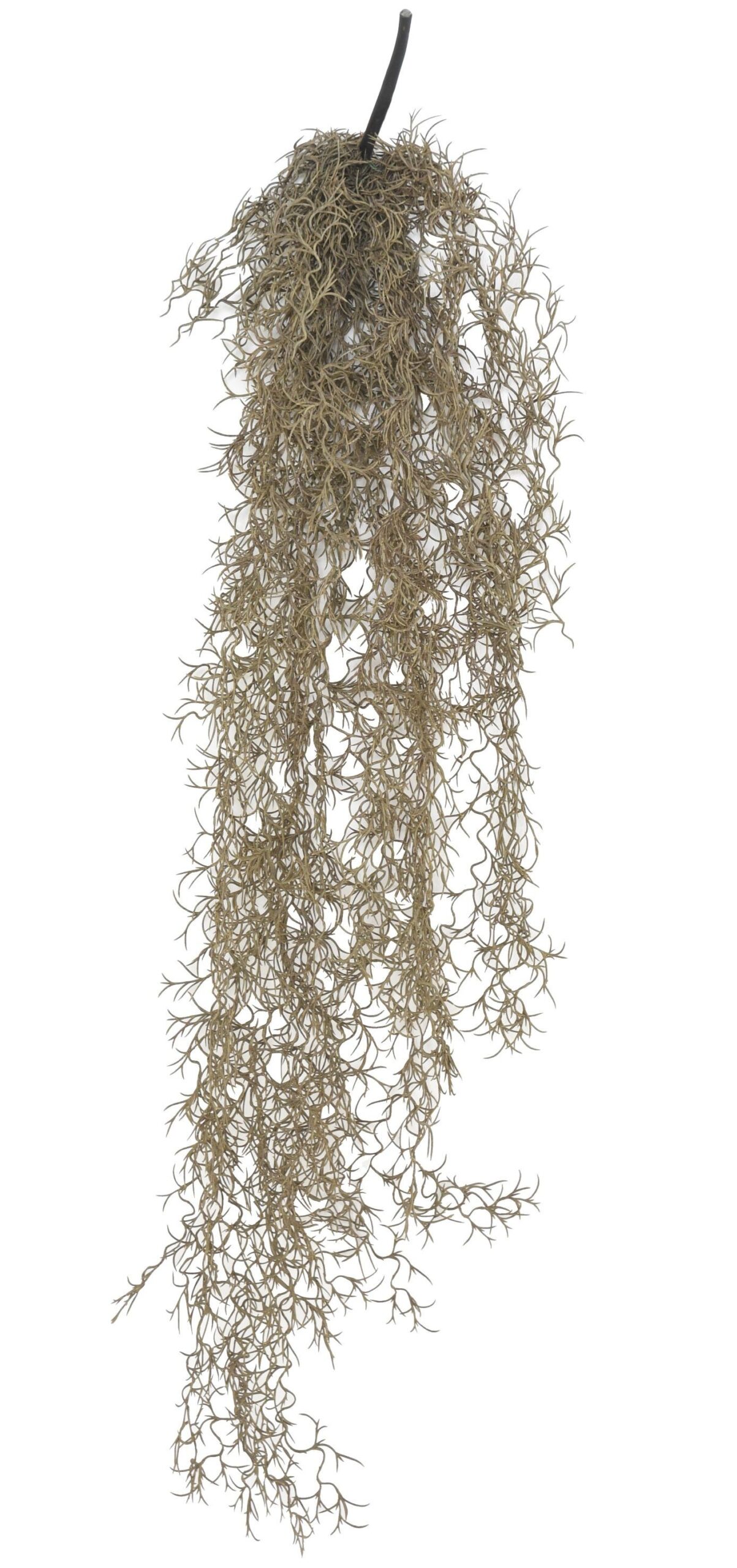 Künstliche Tillandsia Hängepflanze, ca. 95cm 1 Künstliche Tillandsia Hängepflanze, ca. 95cm