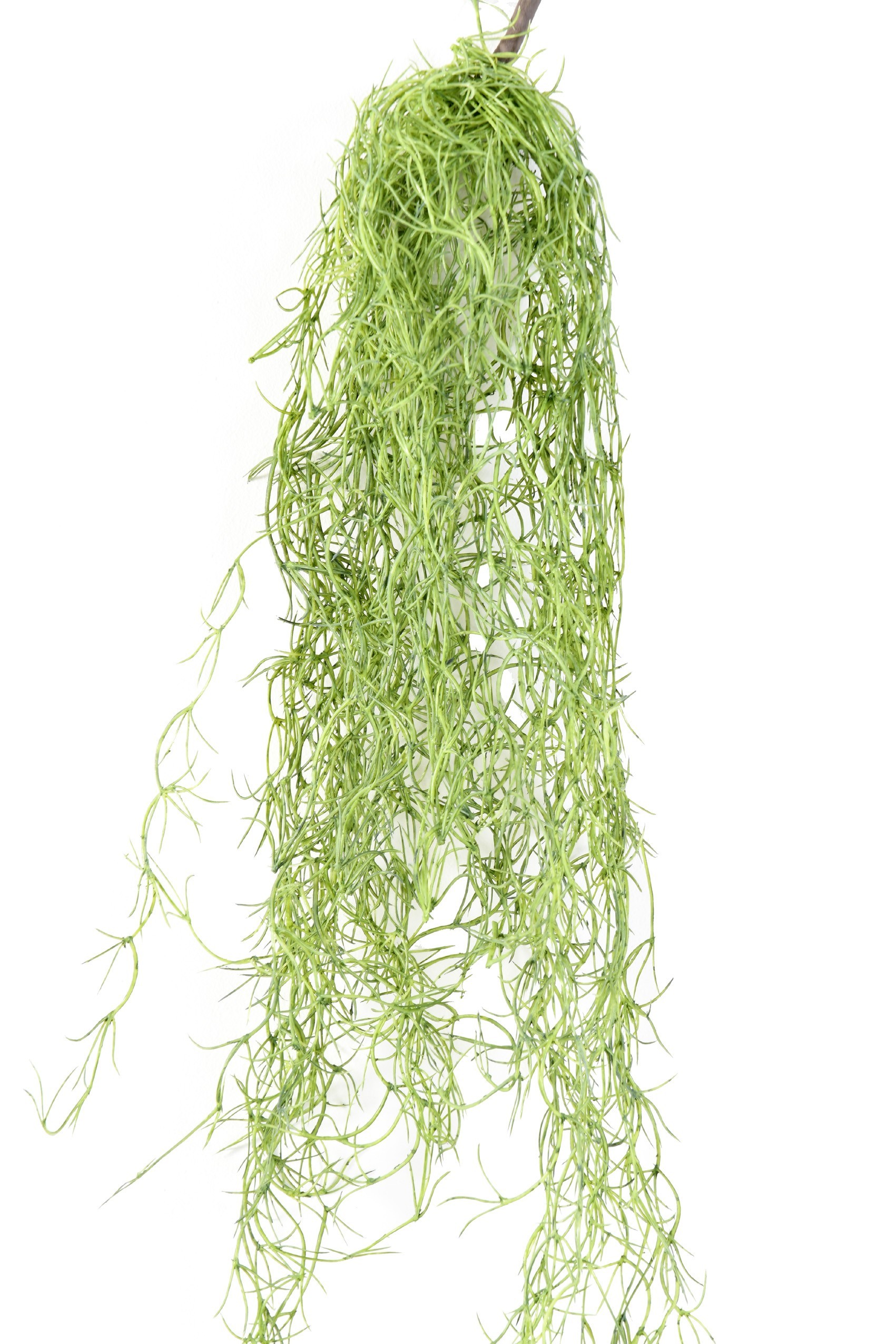 Künstliche Tillandsia, ca. 80cm 1 Künstliche Tillandsia, ca. 80cm